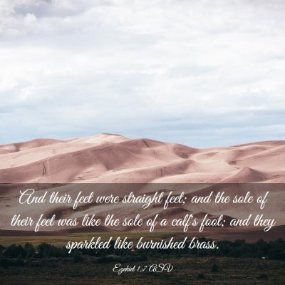 Picture 03 - Ezekiel 1:7 ASV - And their feet were straight feet; and the sole - Bible Verse Picture