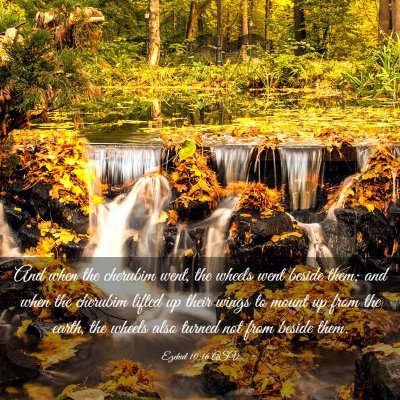 Picture 03 - Ezekiel 10:16 ASV - And when the cherubim went, the wheels went - Bible Verse Picture