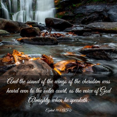 Picture 03 - Ezekiel 10:5 ASV - And the sound of the wings of the cherubim was - Bible Verse Picture