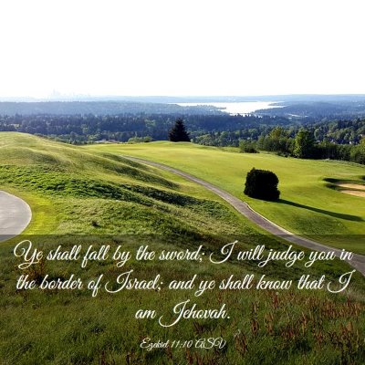 Picture 03 - Ezekiel 11:10 ASV - Ye shall fall by the sword; I will judge you in - Bible Verse Picture