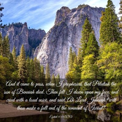 Picture 03 - Ezekiel 11:13 ASV - And it came to pass, when I prophesied, that - Bible Verse Picture