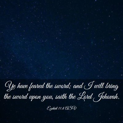 Picture 03 - Ezekiel 11:8 ASV - Ye have feared the sword; and I will bring the - Bible Verse Picture