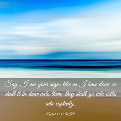 Picture 03 - Ezekiel 12:11 ASV - Say, I am your sign: like as I have done, so - Bible Verse Picture