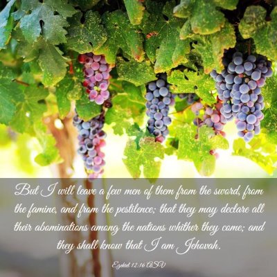 Picture 03 - Ezekiel 12:16 ASV - But I will leave a few men of them from the - Bible Verse Picture