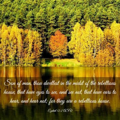 Picture 03 - Ezekiel 12:2 ASV - Son of man, thou dwellest in the midst of the - Bible Verse Picture