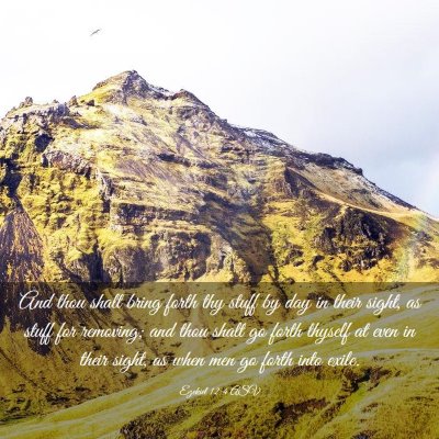 Picture 03 - Ezekiel 12:4 ASV - And thou shalt bring forth thy stuff by day in - Bible Verse Picture