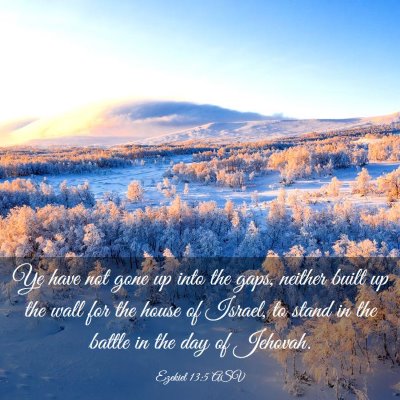 Picture 03 - Ezekiel 13:5 ASV - Ye have not gone up into the gaps, neither built - Bible Verse Picture