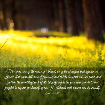 Picture 03 - Ezekiel 14:7 ASV - For every one of the house of Israel, or of the - Bible Verse Picture