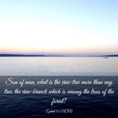 Picture 03 - Ezekiel 15:2 ASV - Son of man, what is the vine-tree more than any - Bible Verse Picture