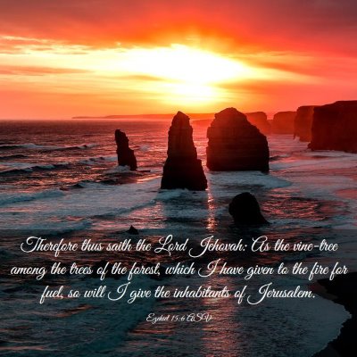 Picture 03 - Ezekiel 15:6 ASV - Therefore thus saith the Lord Jehovah: As the - Bible Verse Picture