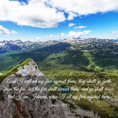 Picture 03 - Ezekiel 15:7 ASV - And I will set my face against them; they shall - Bible Verse Picture