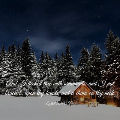 Picture 03 - Ezekiel 16:11 ASV - And I decked thee with ornaments, and I put - Bible Verse Picture