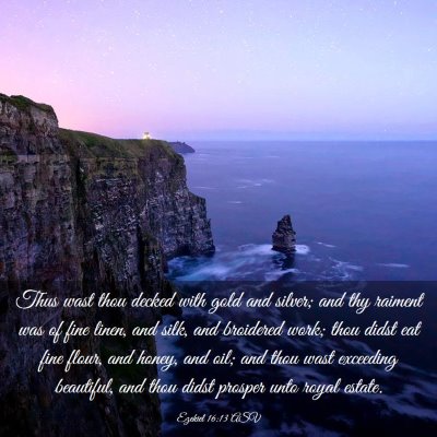 Picture 03 - Ezekiel 16:13 ASV - Thus wast thou decked with gold and silver; and - Bible Verse Picture