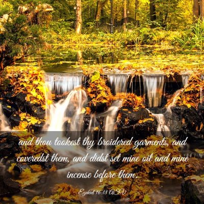 Picture 03 - Ezekiel 16:18 ASV - and thou tookest thy broidered garments, and - Bible Verse Picture