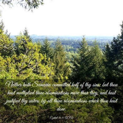 Picture 03 - Ezekiel 16:51 ASV - Neither hath Samaria committed half of thy sins; - Bible Verse Picture