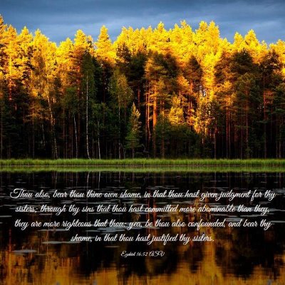 Picture 03 - Ezekiel 16:52 ASV - Thou also, bear thou thine own shame, in that - Bible Verse Picture