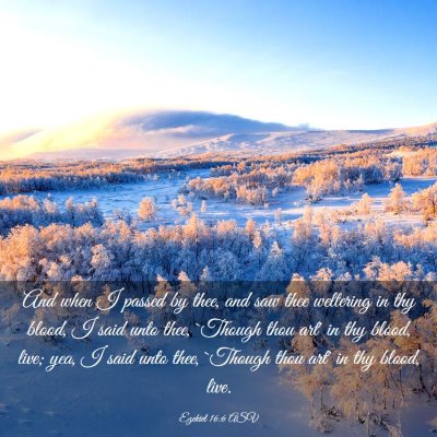 Picture 03 - Ezekiel 16:6 ASV - And when I passed by thee, and saw thee weltering - Bible Verse Picture
