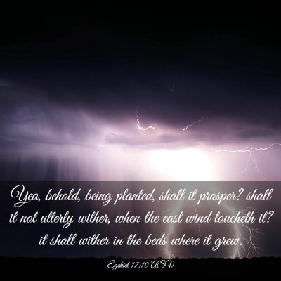 Picture 03 - Ezekiel 17:10 ASV - Yea, behold, being planted, shall it prosper? - Bible Verse Picture