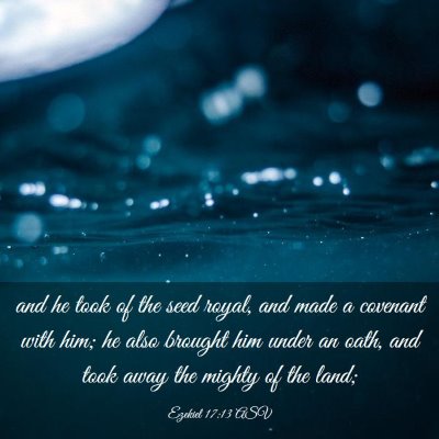 Picture 03 - Ezekiel 17:13 ASV - and he took of the seed royal, and made a - Bible Verse Picture