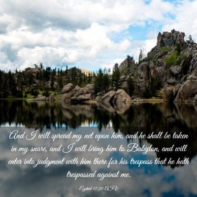 Picture 03 - Ezekiel 17:20 ASV - And I will spread my net upon him, and he shall - Bible Verse Picture