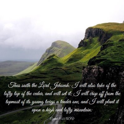 Picture 03 - Ezekiel 17:22 ASV - Thus saith the Lord Jehovah: I will also take of - Bible Verse Picture