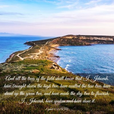 Picture 03 - Ezekiel 17:24 ASV - And all the trees of the field shall know that I, - Bible Verse Picture