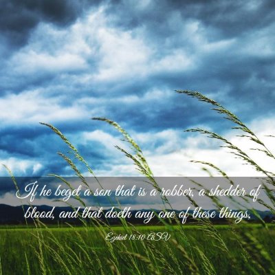 Picture 03 - Ezekiel 18:10 ASV - If he beget a son that is a robber, a shedder of - Bible Verse Picture