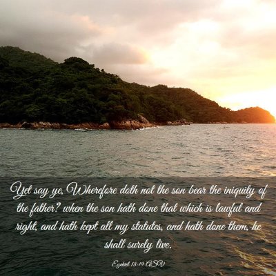 Picture 03 - Ezekiel 18:19 ASV - Yet say ye, Wherefore doth not the son bear the - Bible Verse Picture