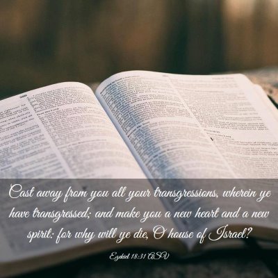 Picture 03 - Ezekiel 18:31 ASV - Cast away from you all your transgressions, - Bible Verse Picture
