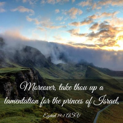 Picture 03 - Ezekiel 19:1 ASV - Moreover, take thou up a lamentation for the - Bible Verse Picture