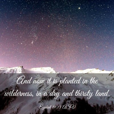 Picture 03 - Ezekiel 19:13 ASV - And now it is planted in the wilderness, in a dry - Bible Verse Picture