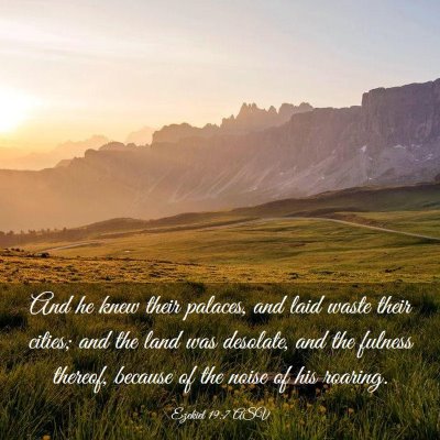 Picture 03 - Ezekiel 19:7 ASV - And he knew their palaces, and laid waste their - Bible Verse Picture