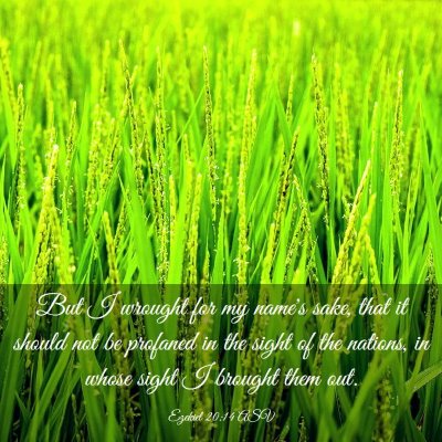 Picture 03 - Ezekiel 20:14 ASV - But I wrought for my name's sake, that it should - Bible Verse Picture