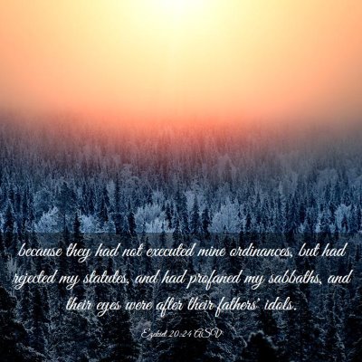 Picture 03 - Ezekiel 20:24 ASV - because they had not executed mine ordinances, - Bible Verse Picture
