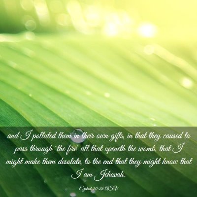 Picture 03 - Ezekiel 20:26 ASV - and I polluted them in their own gifts, in that - Bible Verse Picture