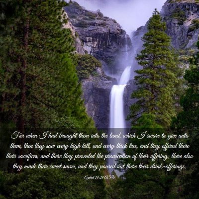 Picture 03 - Ezekiel 20:28 ASV - For when I had brought them into the land, which - Bible Verse Picture