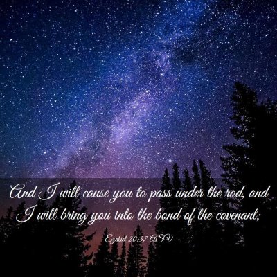 Picture 03 - Ezekiel 20:37 ASV - And I will cause you to pass under the rod, and I - Bible Verse Picture