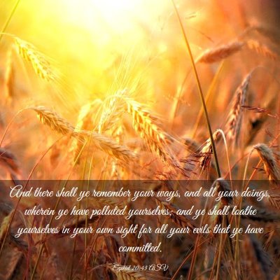 Picture 03 - Ezekiel 20:43 ASV - And there shall ye remember your ways, and all - Bible Verse Picture