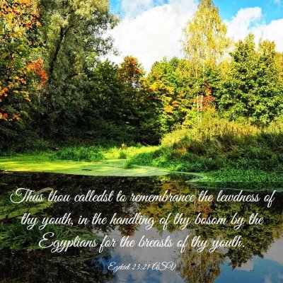 Picture 03 - Ezekiel 23:21 ASV - Thus thou calledst to remembrance the lewdness of - Bible Verse Picture