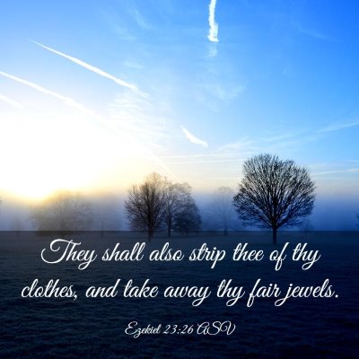 Picture 03 - Ezekiel 23:26 ASV - They shall also strip thee of thy clothes, and - Bible Verse Picture