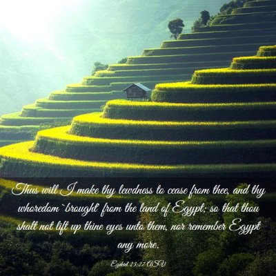 Picture 03 - Ezekiel 23:27 ASV - Thus will I make thy lewdness to cease from thee, - Bible Verse Picture