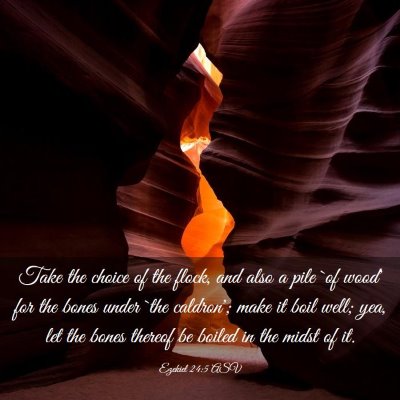 Picture 03 - Ezekiel 24:5 ASV - Take the choice of the flock, and also a pile `of - Bible Verse Picture