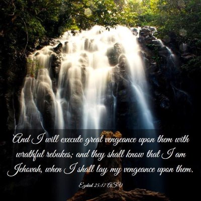 Picture 03 - Ezekiel 25:17 ASV - And I will execute great vengeance upon them with - Bible Verse Picture