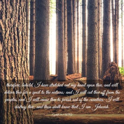 Picture 03 - Ezekiel 25:7 ASV - therefore, behold, I have stretched out my hand - Bible Verse Picture