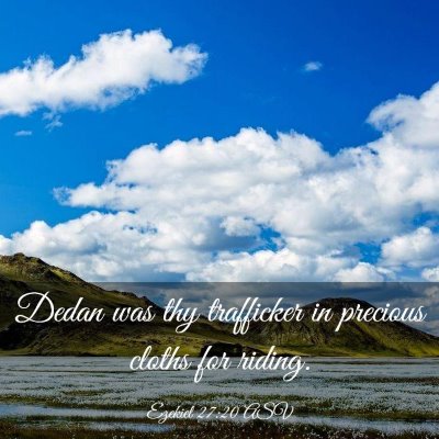Picture 03 - Ezekiel 27:20 ASV - Dedan was thy trafficker in precious cloths for - Bible Verse Picture