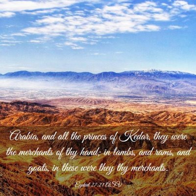 Picture 03 - Ezekiel 27:21 ASV - Arabia, and all the princes of Kedar, they were - Bible Verse Picture