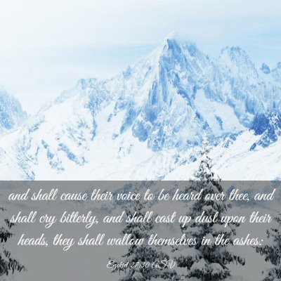 Picture 03 - Ezekiel 27:30 ASV - and shall cause their voice to be heard over - Bible Verse Picture
