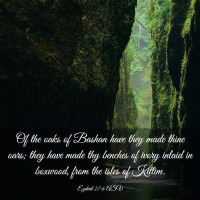 Picture 03 - Ezekiel 27:6 ASV - Of the oaks of Bashan have they made thine oars; - Bible Verse Picture