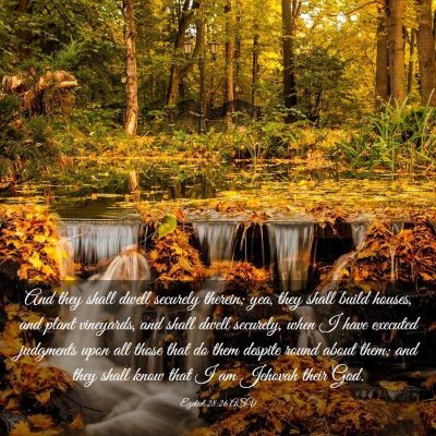 Picture 03 - Ezekiel 28:26 ASV - And they shall dwell securely therein; yea, they - Bible Verse Picture