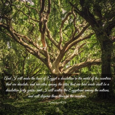 Picture 03 - Ezekiel 29:12 ASV - And I will make the land of Egypt a desolation in - Bible Verse Picture